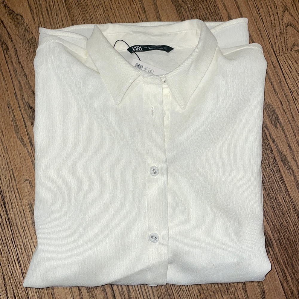 Zara Button Down Top